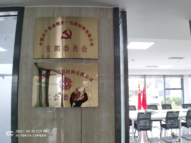 热烈祝贺pg电子游戏集团成都分公司党支部在2020年3月11日授牌成立，支部书记曹云(行政部经理)